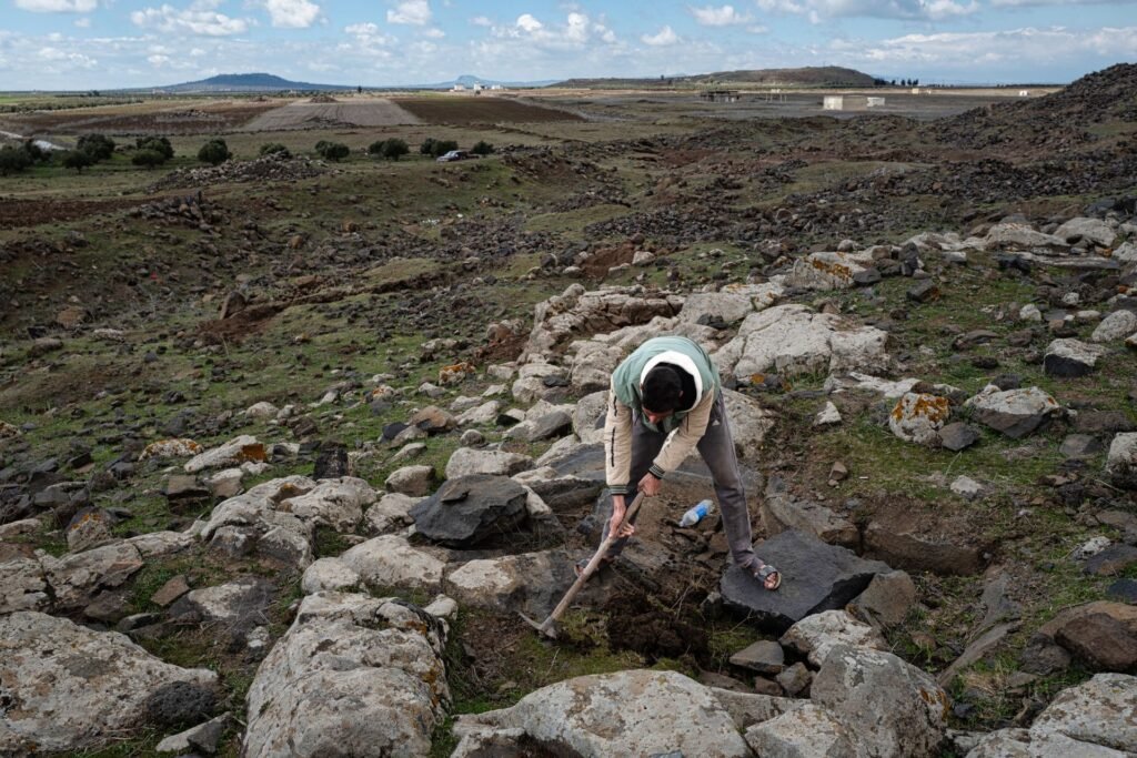 Treasure Hunters in a New Syria